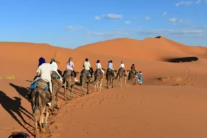 Programme d'Aventure dans le Désert Égyptien