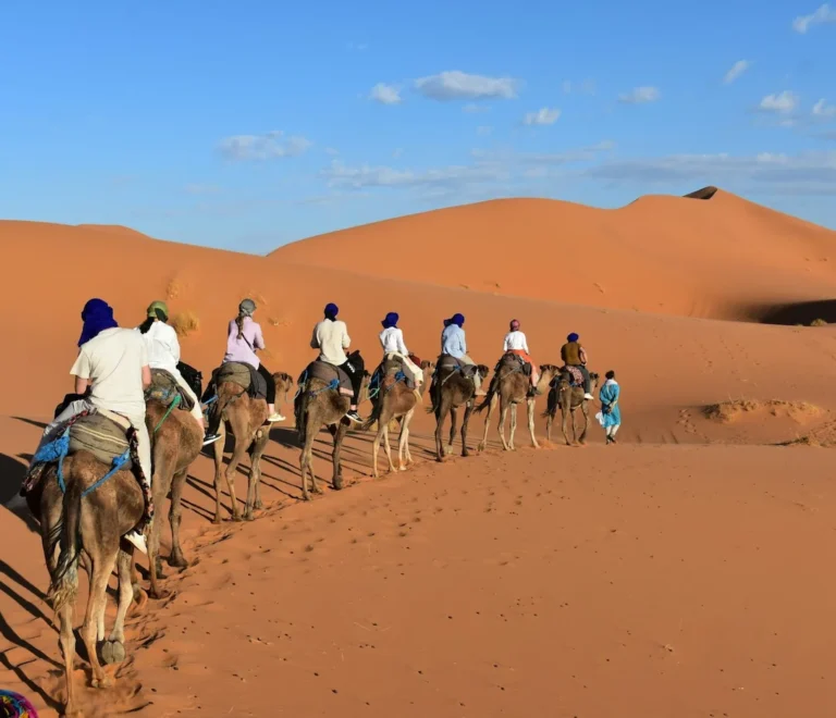 Programme d'Aventure dans le Désert Égyptien