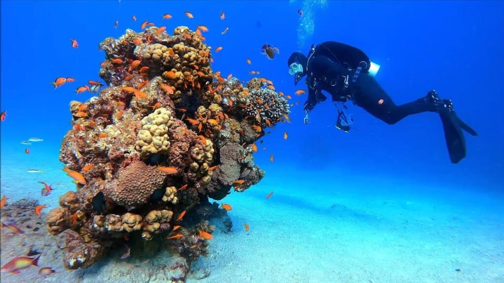 Voyage culturel en Égypte