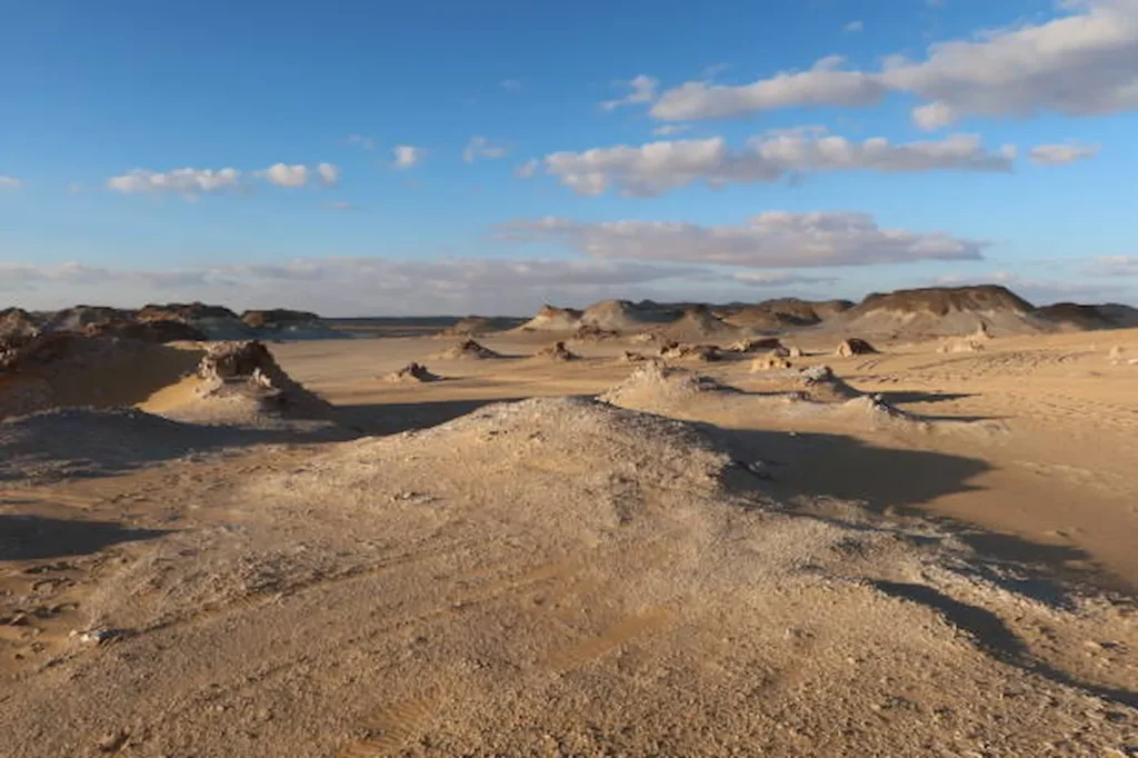 Excursion Désert Blanc et Noir : Magie de l&rsquo;Égypte Sauvage