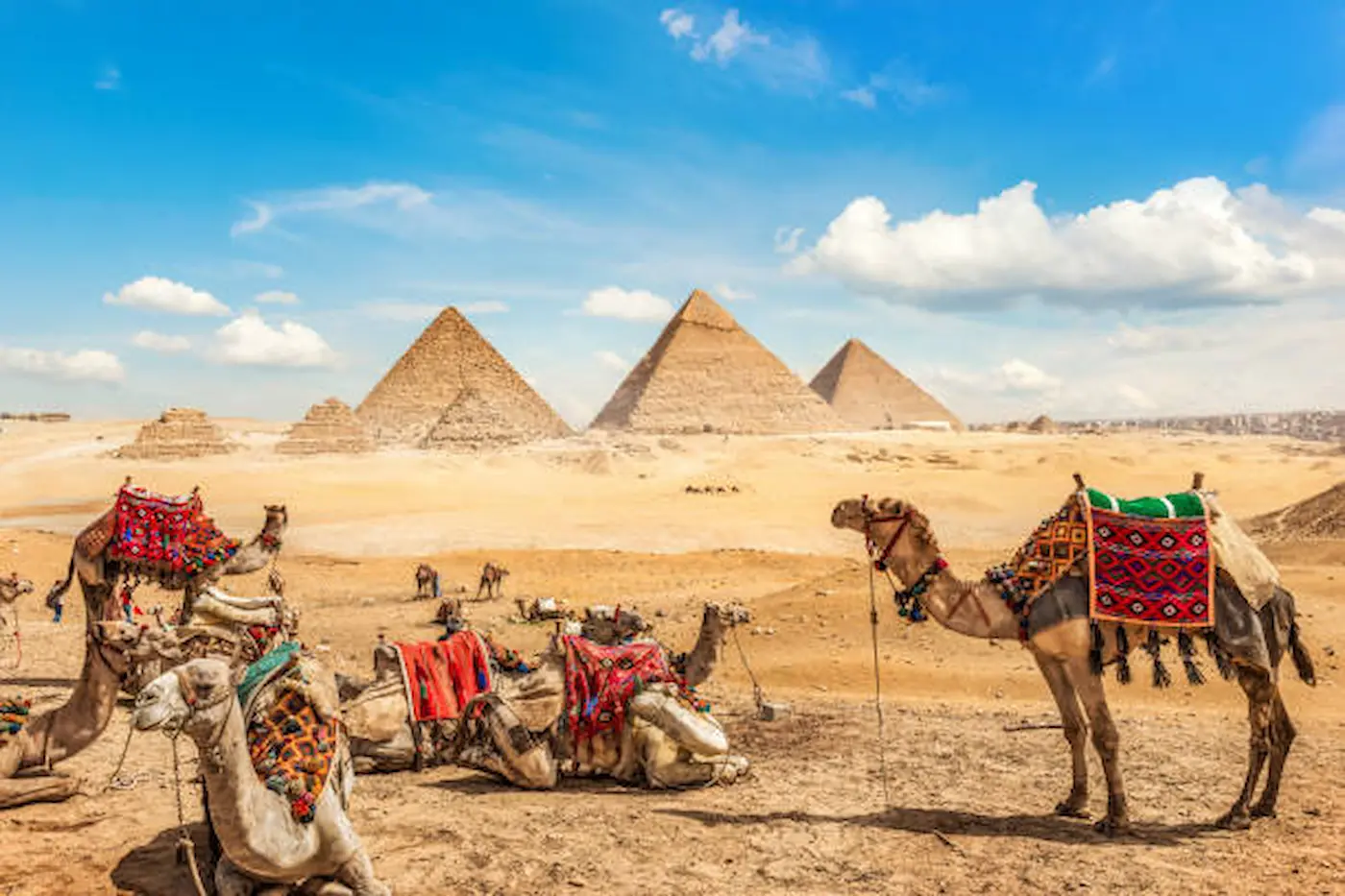 Meilleure période pour visiter l'Égypte