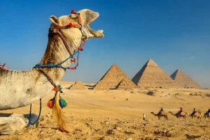 Meilleure agence de voyage Égypte