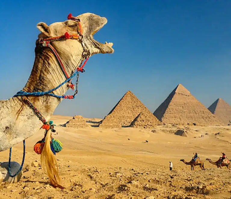 Meilleure agence de voyage Égypte