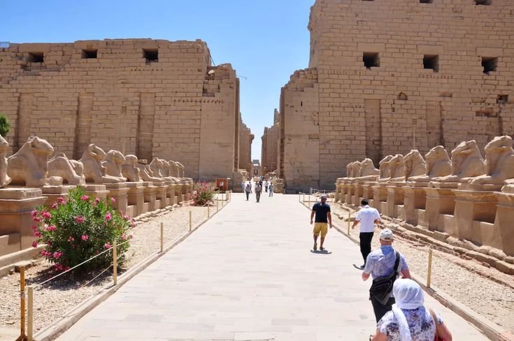 Égypte en novembre
